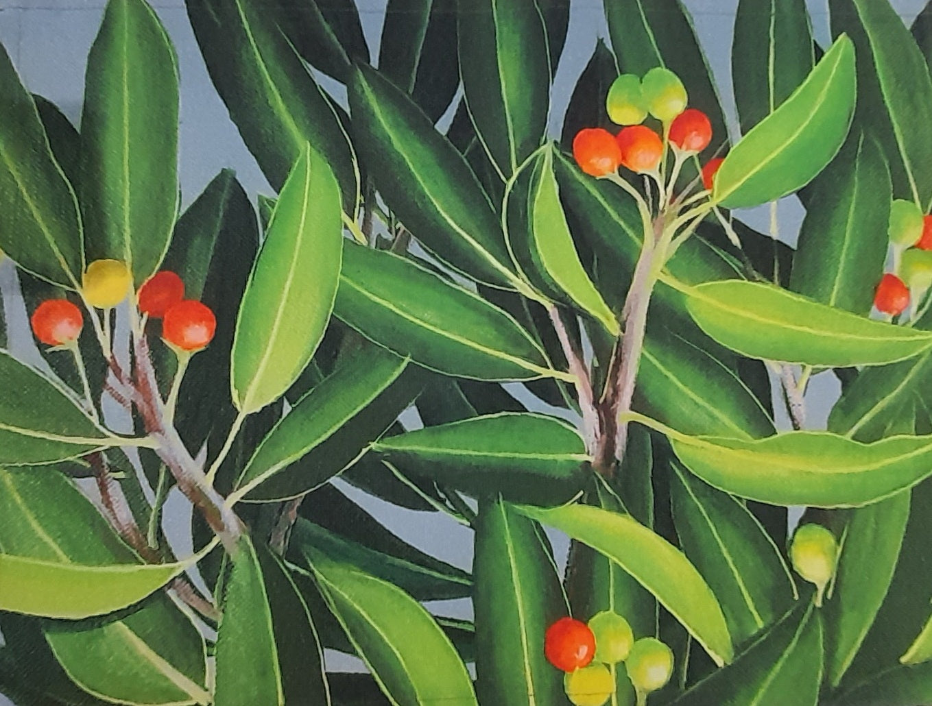 Fabric Table Mats The Cinnamon Store