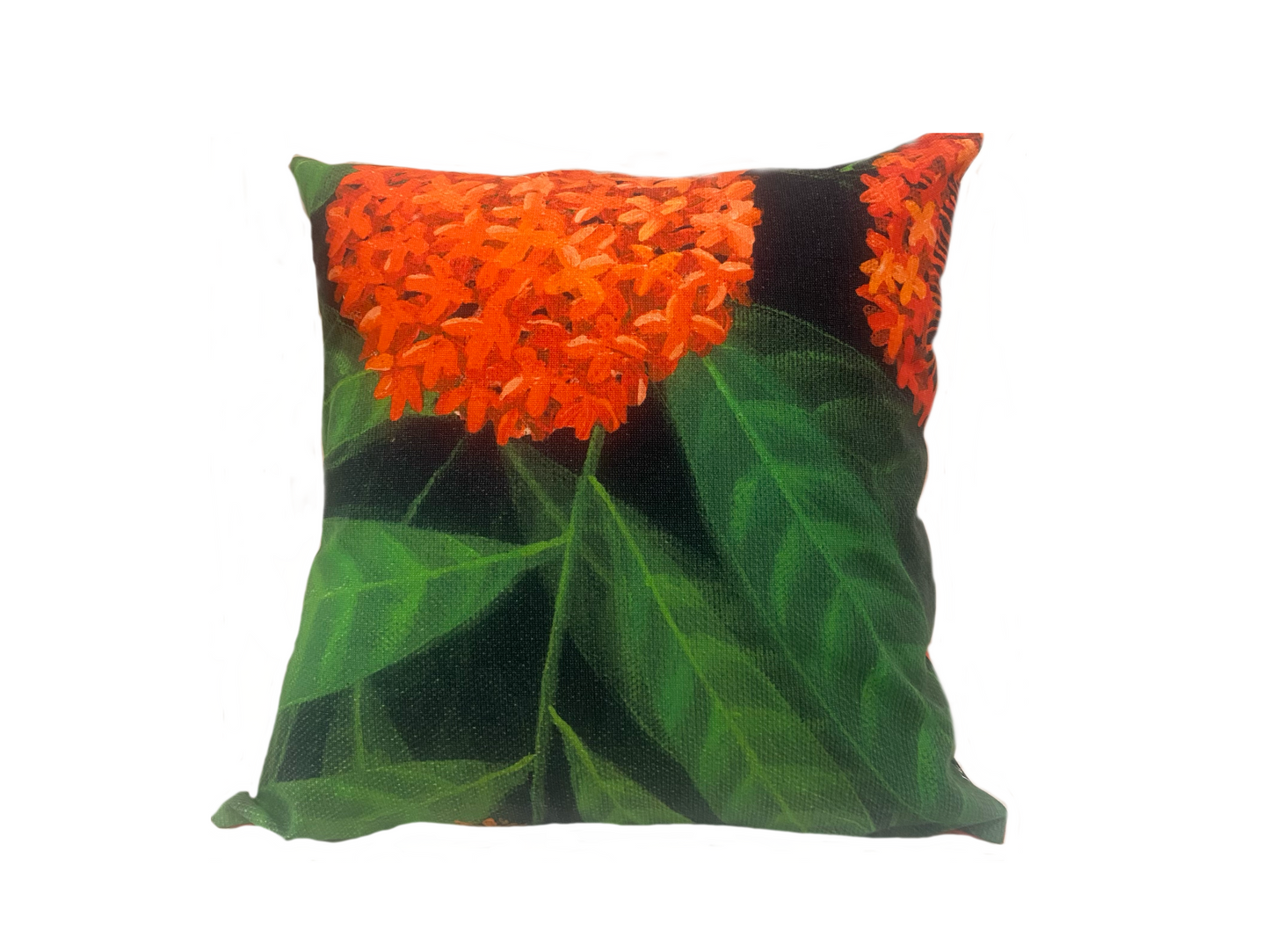 Fabric - Cushion Cover