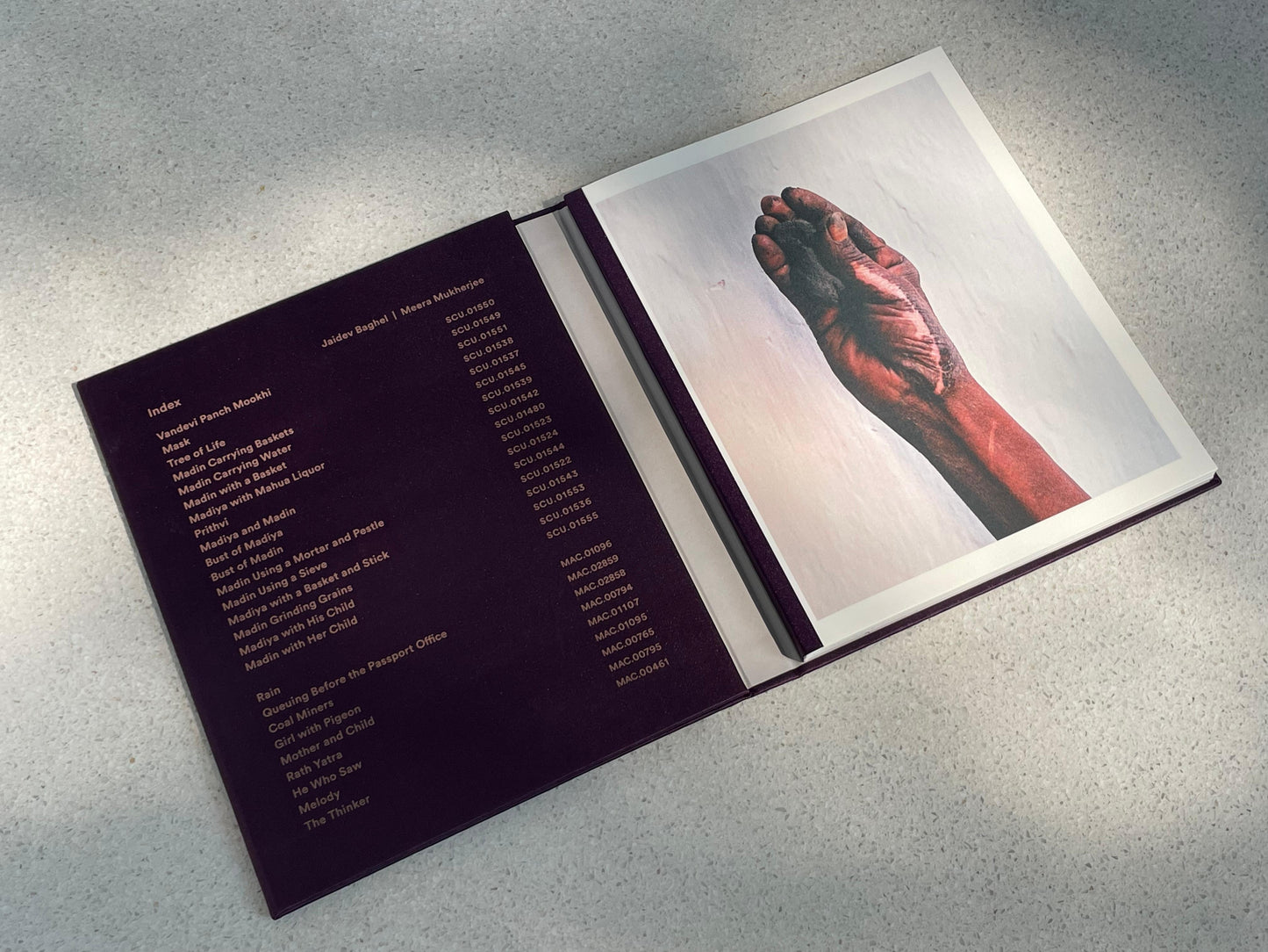 Catalogue Outside In:  Meera Mukherjee and Jaidev Baghel