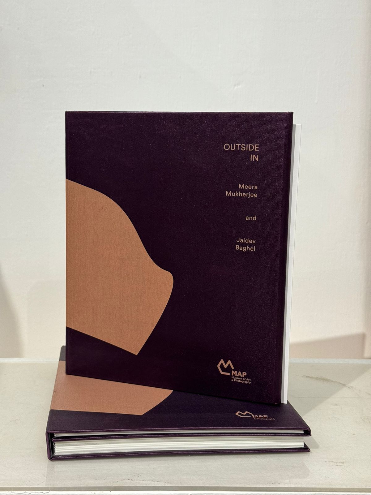 Catalogue Outside In:  Meera Mukherjee and Jaidev Baghel