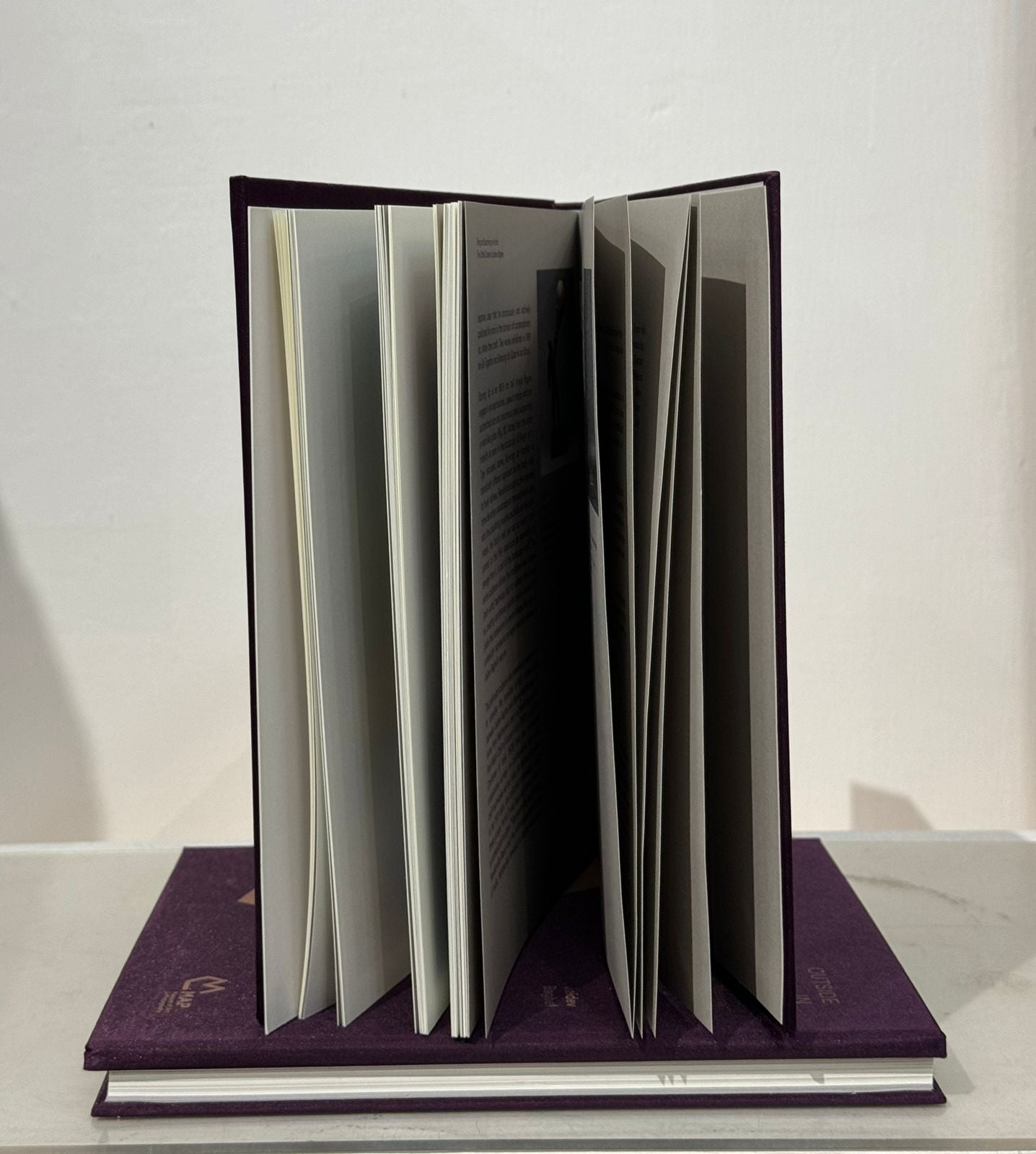 Catalogue Outside In:  Meera Mukherjee and Jaidev Baghel