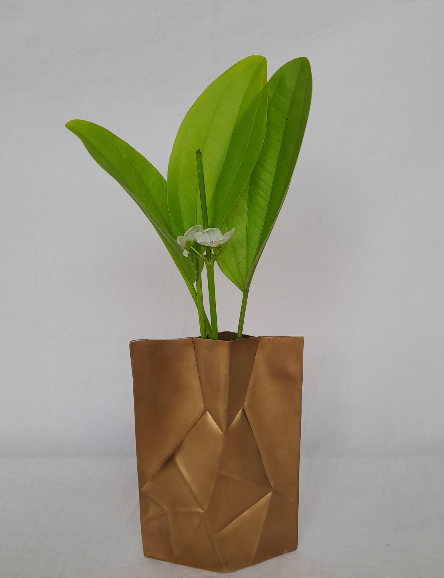 PROFILE VASE - ADY 5.18