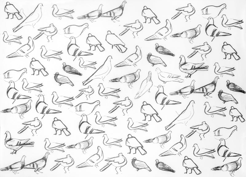 Wrapping Paper