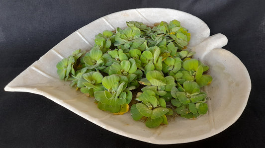 MARBLE LEAF PLATTER - SAX 417.27